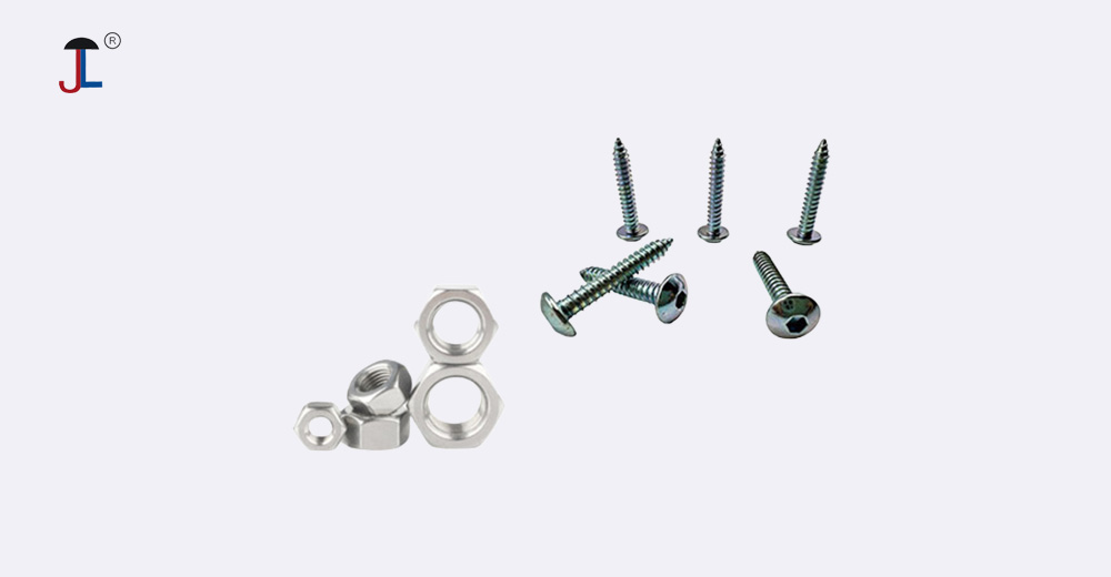 Stainless Steel Screws and Nuts