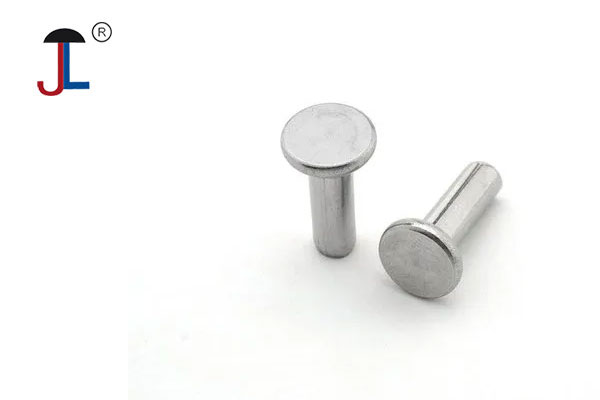 Stainless Steel Flat Head Rivets