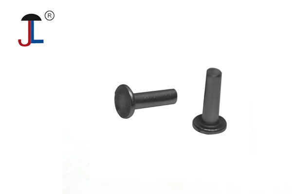 Flat Head Steel Rivets