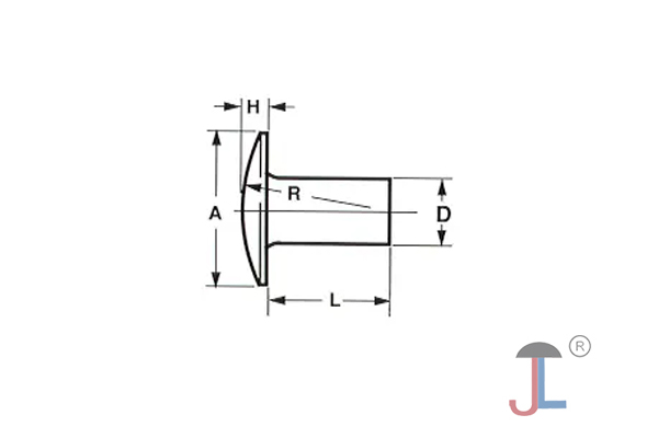 Stainless Steel Truss Head Rivets